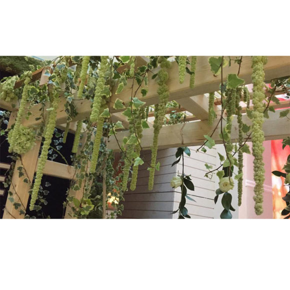 Pandorra style event 02