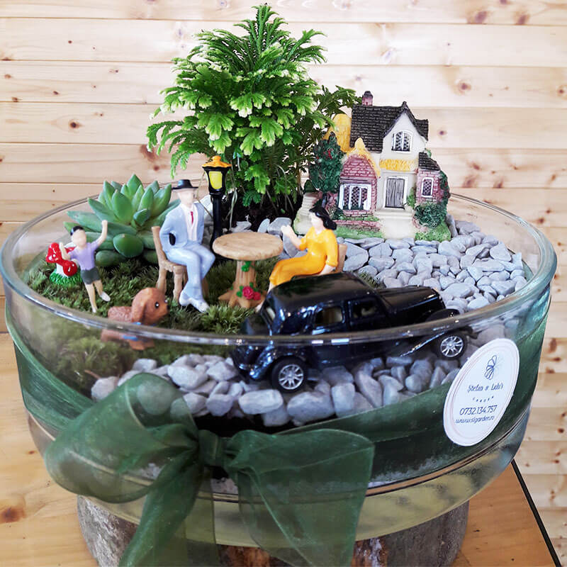 Stefan&-Lulu's-Garden-Terrariu-Happy-Trip-00