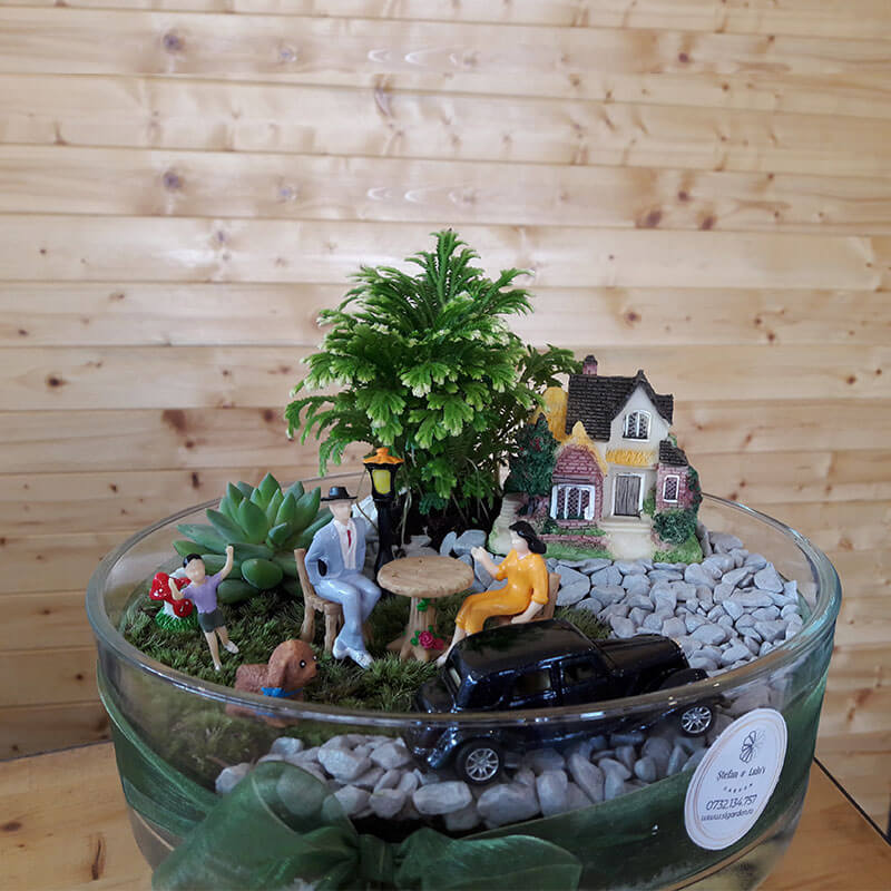 Stefan&-Lulu's-Garden-Terrariu-Happy-Trip-01 Terrarium Bucuresti - Plante Suculente