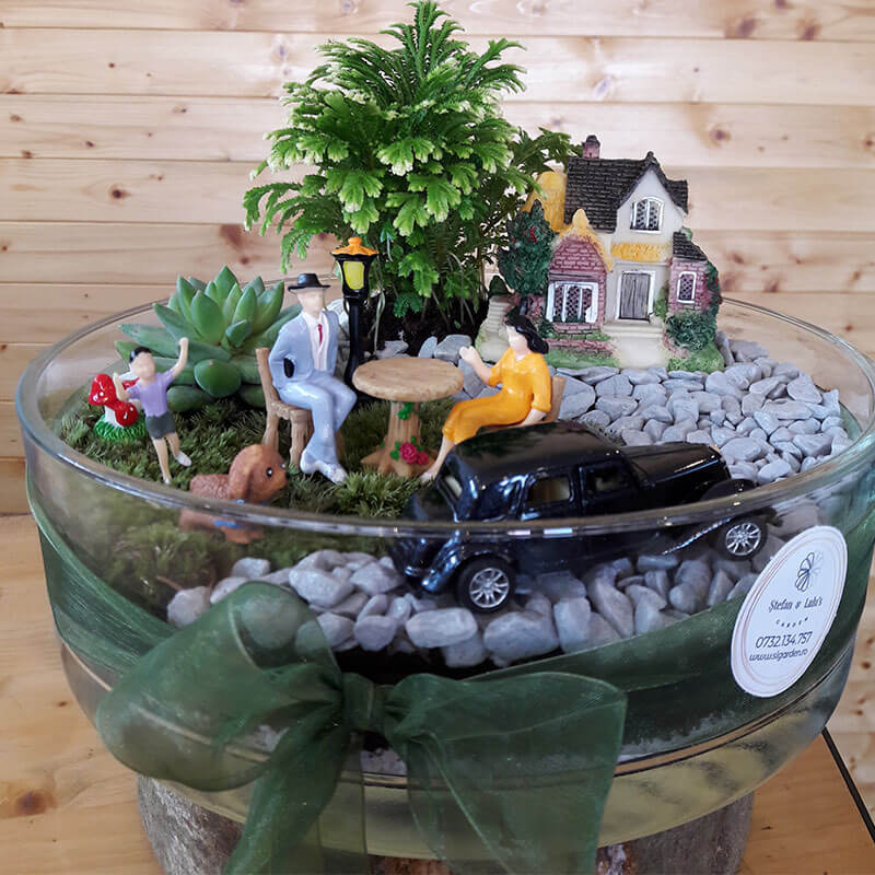 Stefan&-Lulu's-Garden-Terrariu-Happy-Trip-02 Terrarium Bucuresti - Plante Suculente