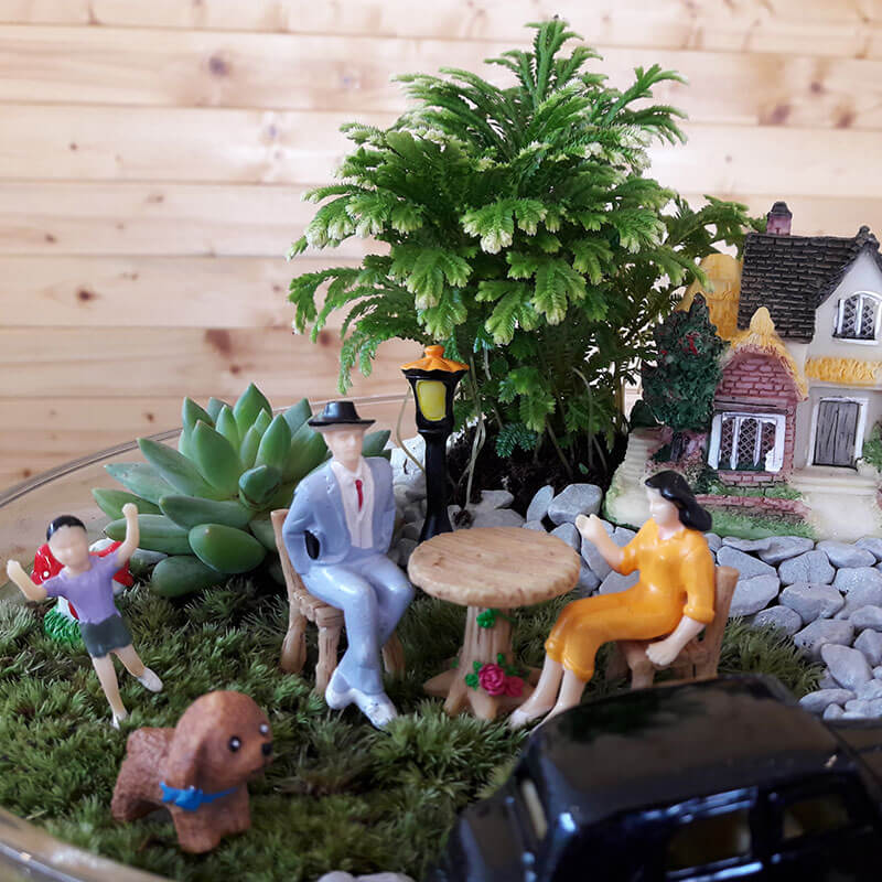 Stefan&-Lulu's-Garden-Terrariu-Happy-Trip-03 Terrarium Bucuresti - Plante Suculente