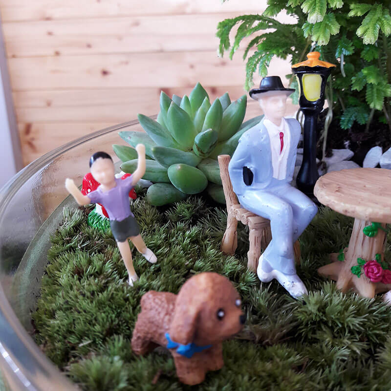 Stefan&-Lulu's-Garden-Terrariu-Happy-Trip-04 Terrarium Bucuresti - Plante Suculente