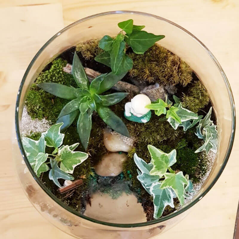 Stefan&-Lulu's-Garden-Terrariu-Hope-02 Terrarium Bucuresti - Livrare - Rapid