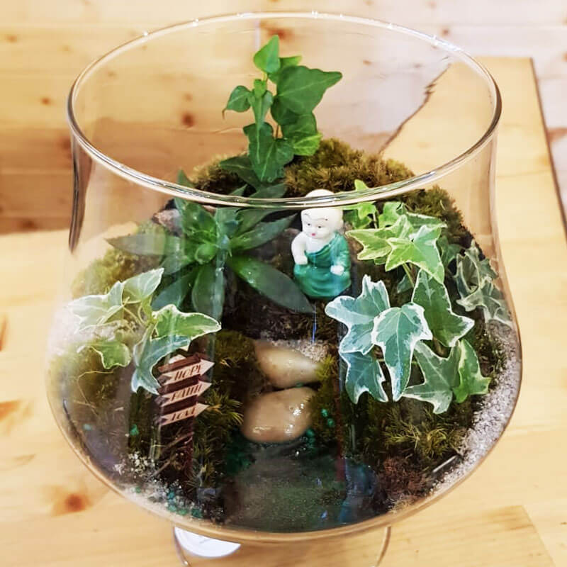 Stefan&-Lulu's-Garden-Terrariu-Hope-03 Terrarium Bucuresti - Livrare - Rapid