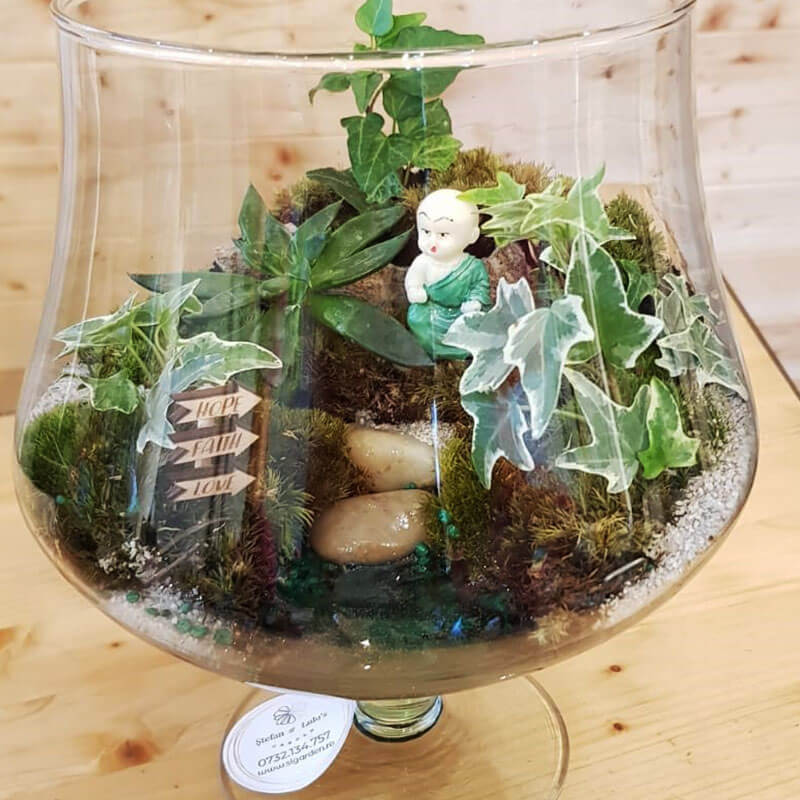 Stefan&-Lulu's-Garden-Terrariu-Hope-04 Terrarium Bucuresti - Livrare - Rapid