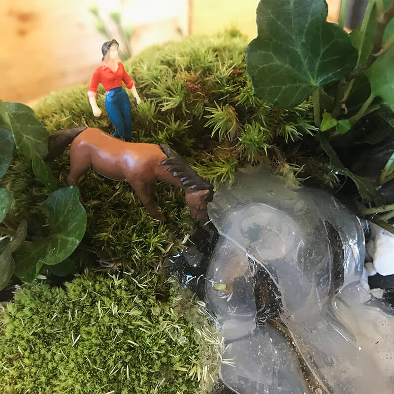 Stefan&-Lulu's-Garden-Terrariu-Bol-Sticla-02 Terrarium - Plante suculente - Muschi