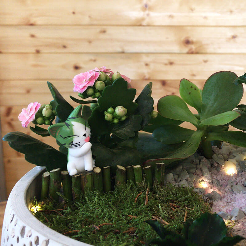 Stefan&-Lulu's-Garden-Terrariu-Vas-Ceramic-04