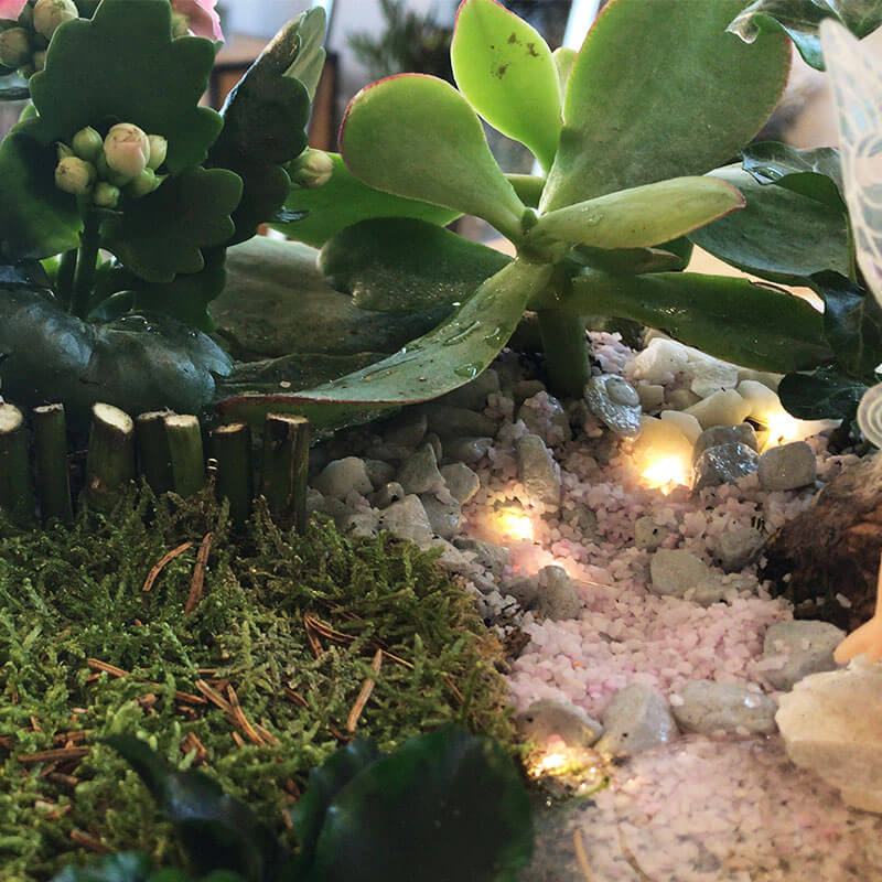 Stefan&-Lulu's-Garden-Terrariu-Vas-Ceramic-06