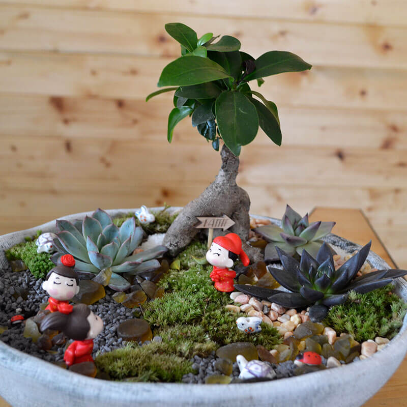 Stefan&-Lulu's-Garden-Terrarium-Faith-05 Terrarium Bucuresti - Ficus bonsai
