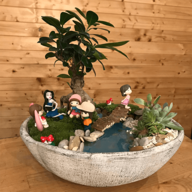 Terrarium bonsai - plante suculente - Livrare Bucuresti