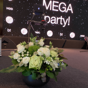 Party Megagen la Radisson Blu Party Megagen la Radisson Blu