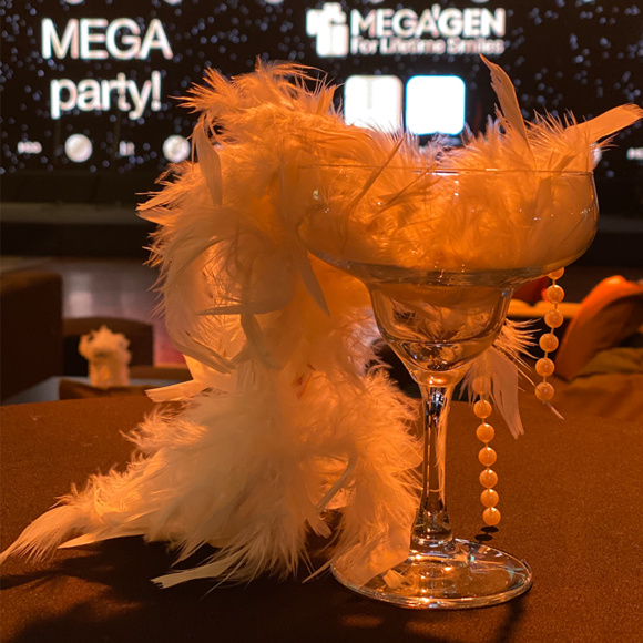 Party Megagen la Radisson Blu