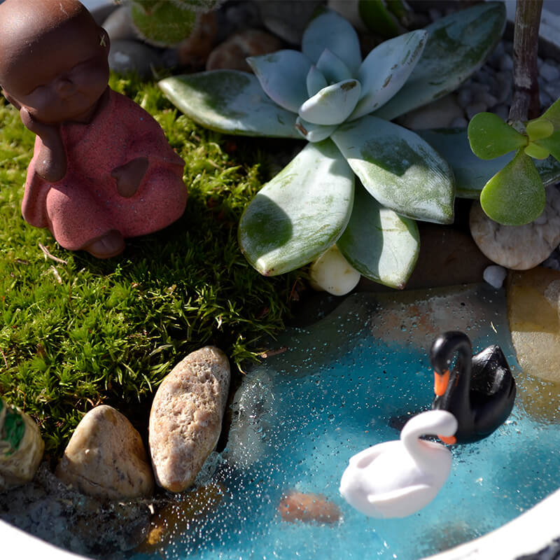 Stefan&-Lulu's-Garden-terrarium_micul_buddha_231