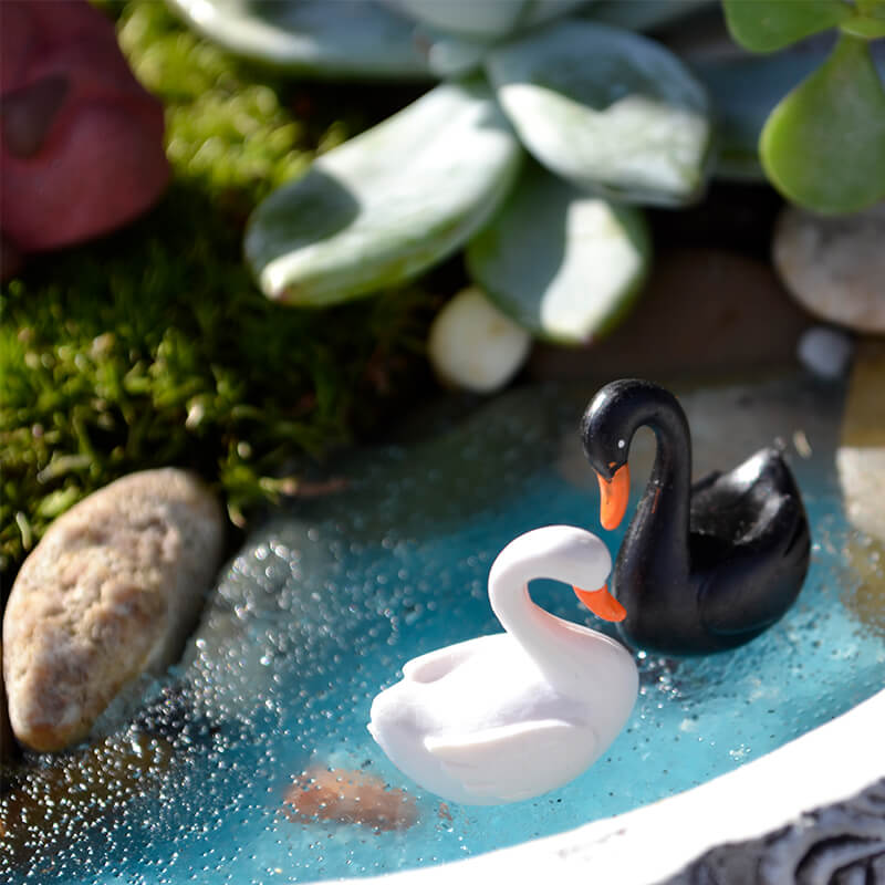 Stefan&-Lulu's-Garden-terrarium_micul_buddha_232