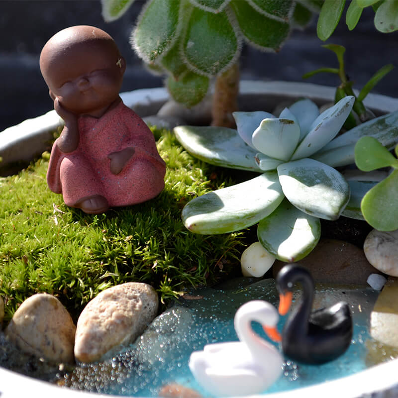 Stefan&-Lulu's-Garden-terrarium_micul_buddha_234 Terrarium plante suculente Buddha - Livrare Bucuresti