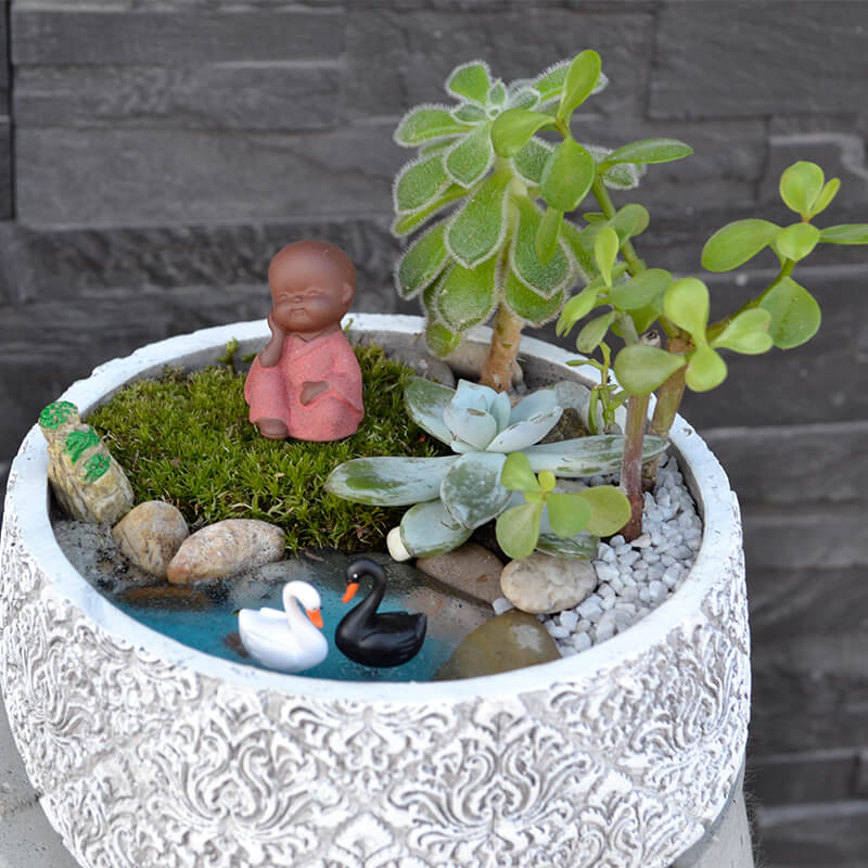 Stefan&-Lulu's-Garden-terrarium_micul_buddha_283