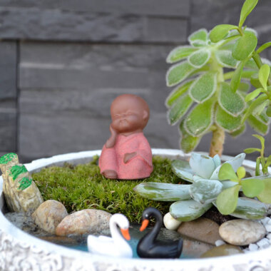 Terrarium plante suculente Buddha - Livrare Bucuresti