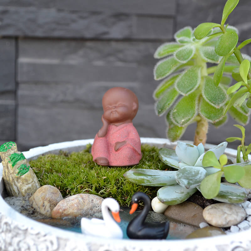 Stefan&-Lulu's-Garden-terrarium_micul_buddha_285 Terrarium plante suculente Buddha - Livrare Bucuresti