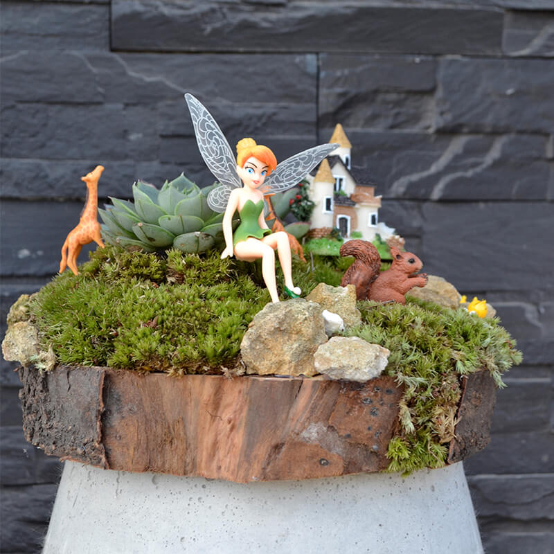 Stefan&-Lulu's-Garden-terrarium_thinkerbell_and_magic_animals_275 Terrarium plante suculente baza lemn